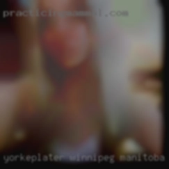 yorkePlater Winnipeg Manitoba